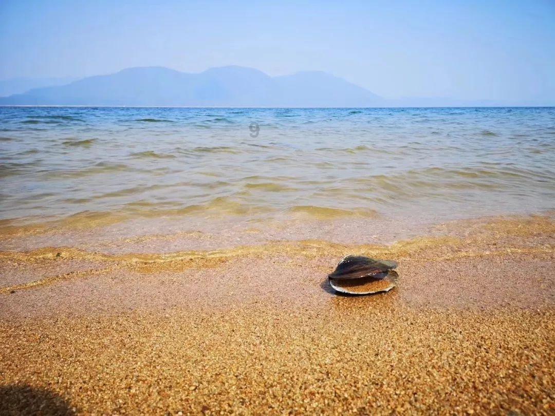 美丽海洋找不同